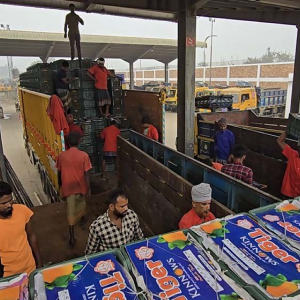 Fruit Import via Benapole Halted Indefinitely Due to Extra Tariffs