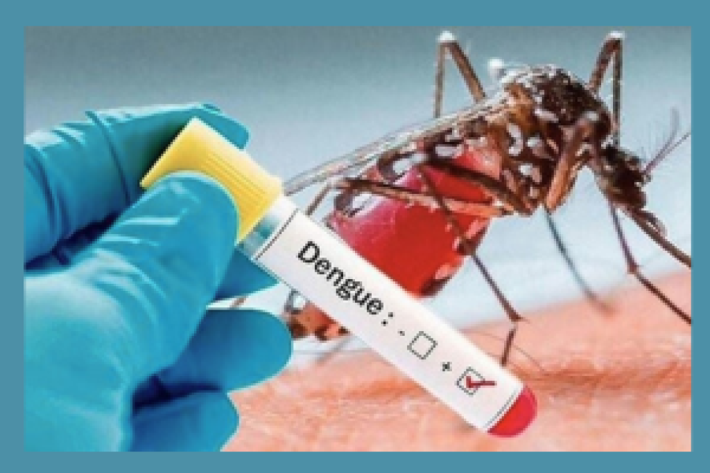 ডেঙ্গুর ছোবল থামছেই না, ২৪ ঘণ্টায় ৪ জনের মৃত্যু