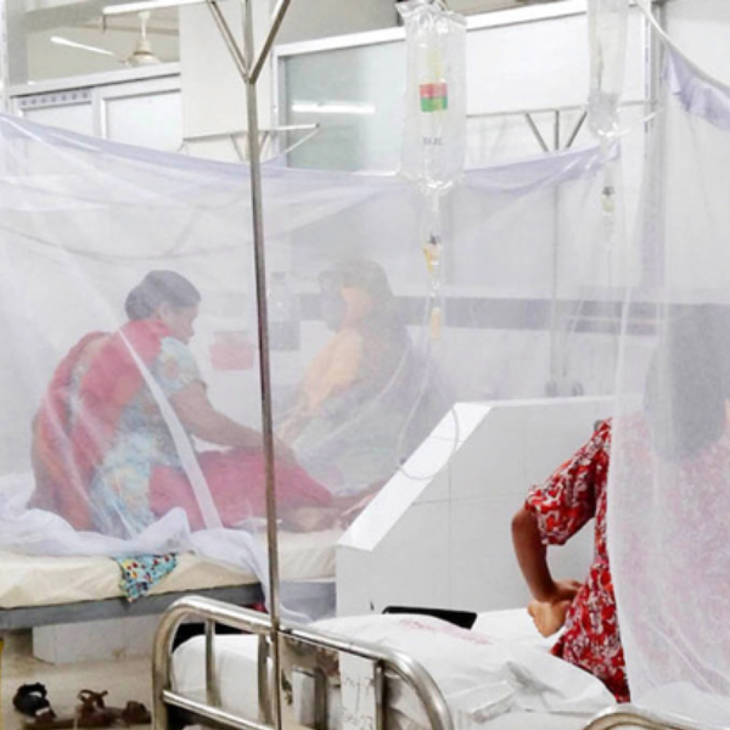 One Death from Dengue, 16 New Hospital Admissions